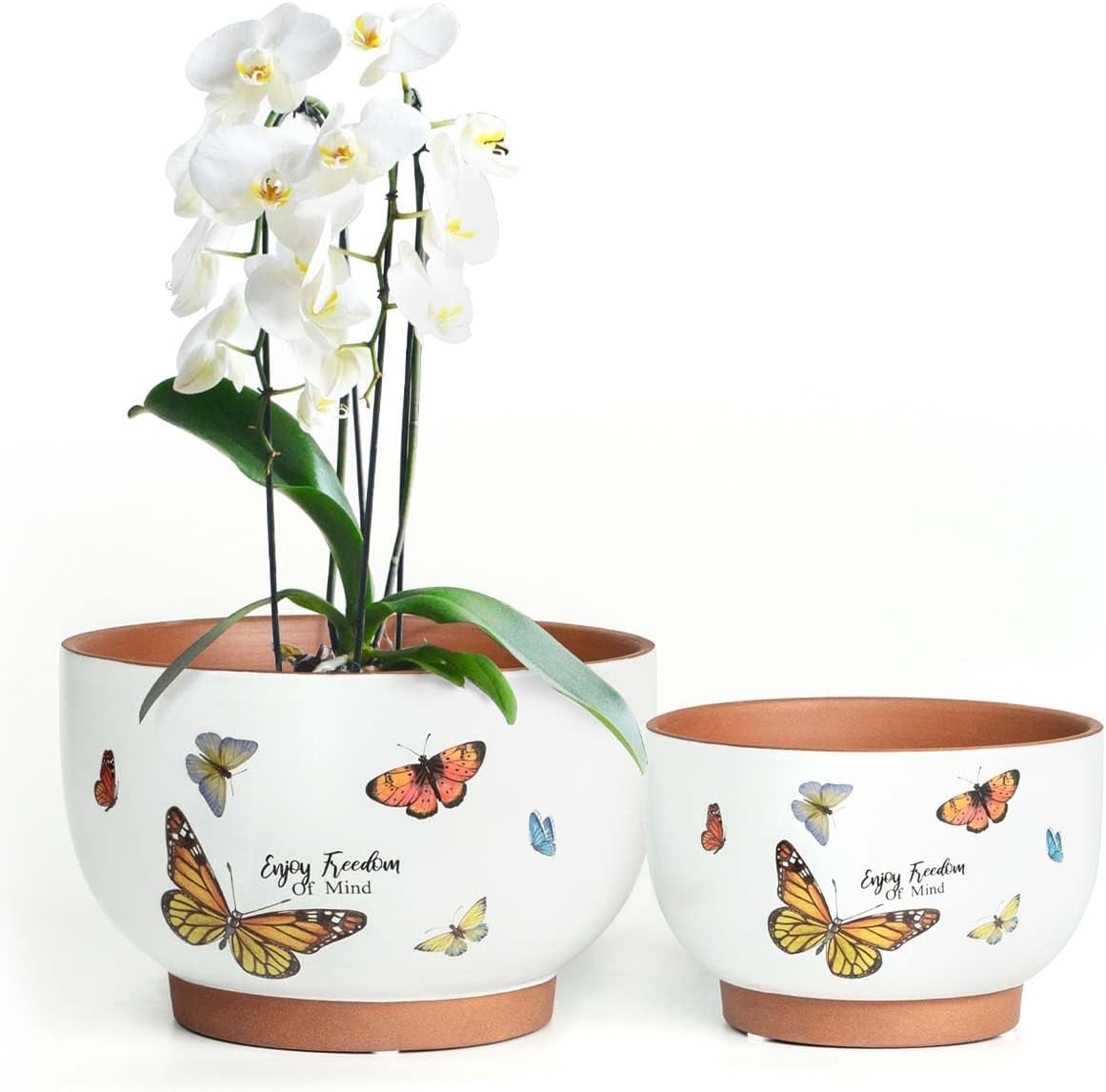 YBX 8 Inch + 6 Inch Ceramic Plant Pots, Succulent Flower Pots with Drainage Holes, Terracotta Planters for Indoor Plants, White&Terracotta (Garden)