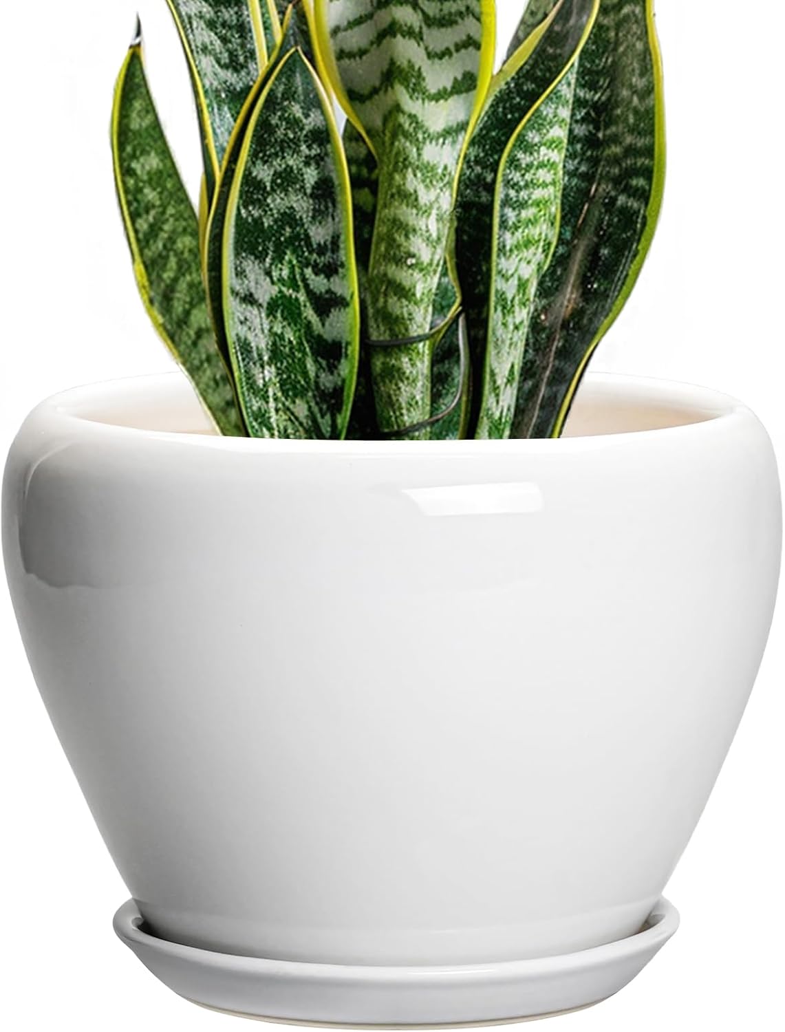 Ceramic Modern Glaze Succulent Planter Pot with Drainage Hole and Saucer 6 Inch Round Flower Plant Pot for Indoor Outdoor Herb Snake Plants