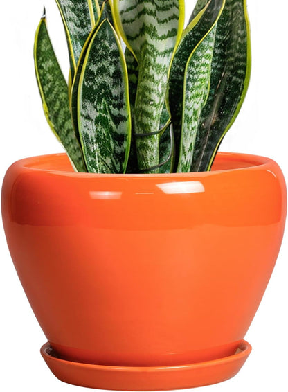 Ceramic Modern Glaze Succulent Planter Pot with Drainage Hole and Saucer 6 Inch Round Flower Plant Pot for Indoor Outdoor Herb Snake Plants