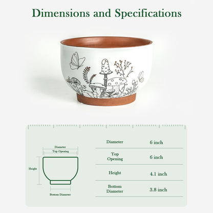 YBX 8 Inch + 6 Inch Ceramic Plant Pots, Succulent Flower Pots with Drainage Holes, Terracotta Planters for Indoor Plants, White&Terracotta (Garden)
