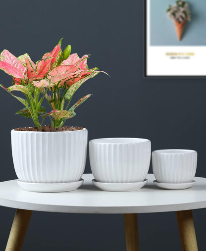 Ton Sin Grey Flower Pots, Texture Planter for Indoor Plants Set of 3 Ceramic Flower Pots with Saucer, Cute Garden Pots Succulent Pots, 6.75/5.6/4.2 Inch, Indoor Outdoor Home Garden Decor