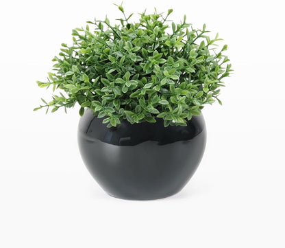 Velener Fake Sage Plants for Shelf Decor, Small Artificial Succulents Grass Desk Plant for Office Women, Mini Faux Plant Indoor, Masculine Home Decor, Coffee Table Decor in Pot