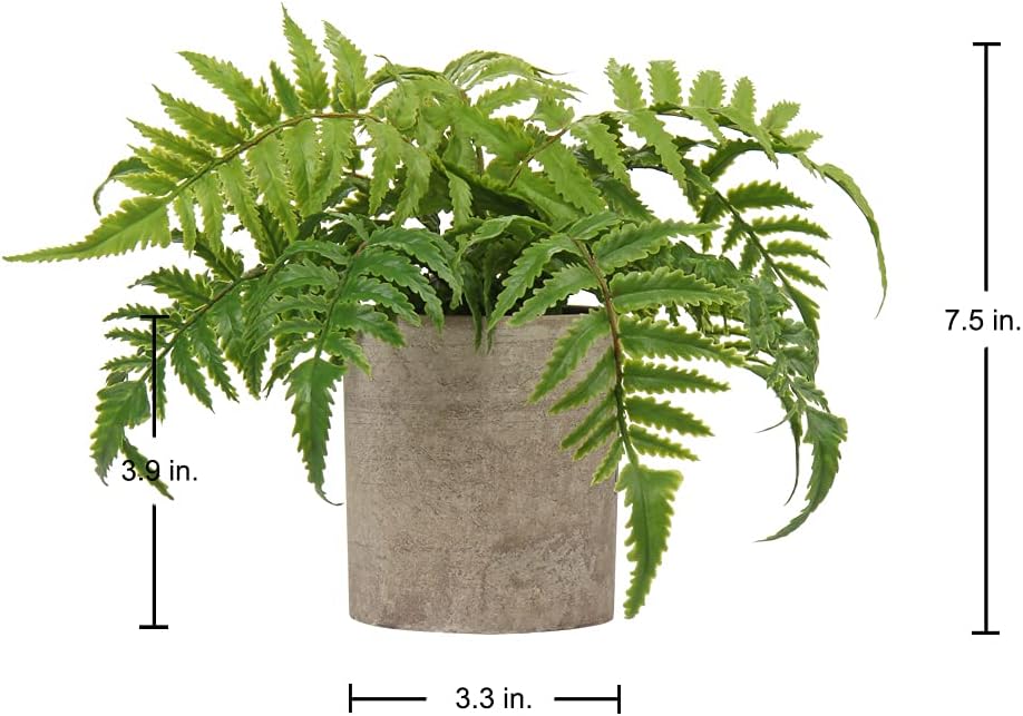 Briful Small Fake Plant Potted Plants Artificial Decor Plastic Asparagus Ferns Plant Faux Plants in Pots for Home Living Room Bedroom Desk Shelf Farmhouse Decoration