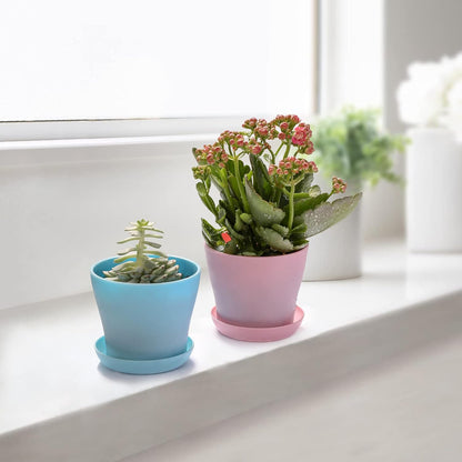 TDHDIKE 10 Pcs Plastic Planters Indoor Pots, Mini Flower Seedlings Nursery Flower Pot with Pallet, Modern Decorative Gardening Containers