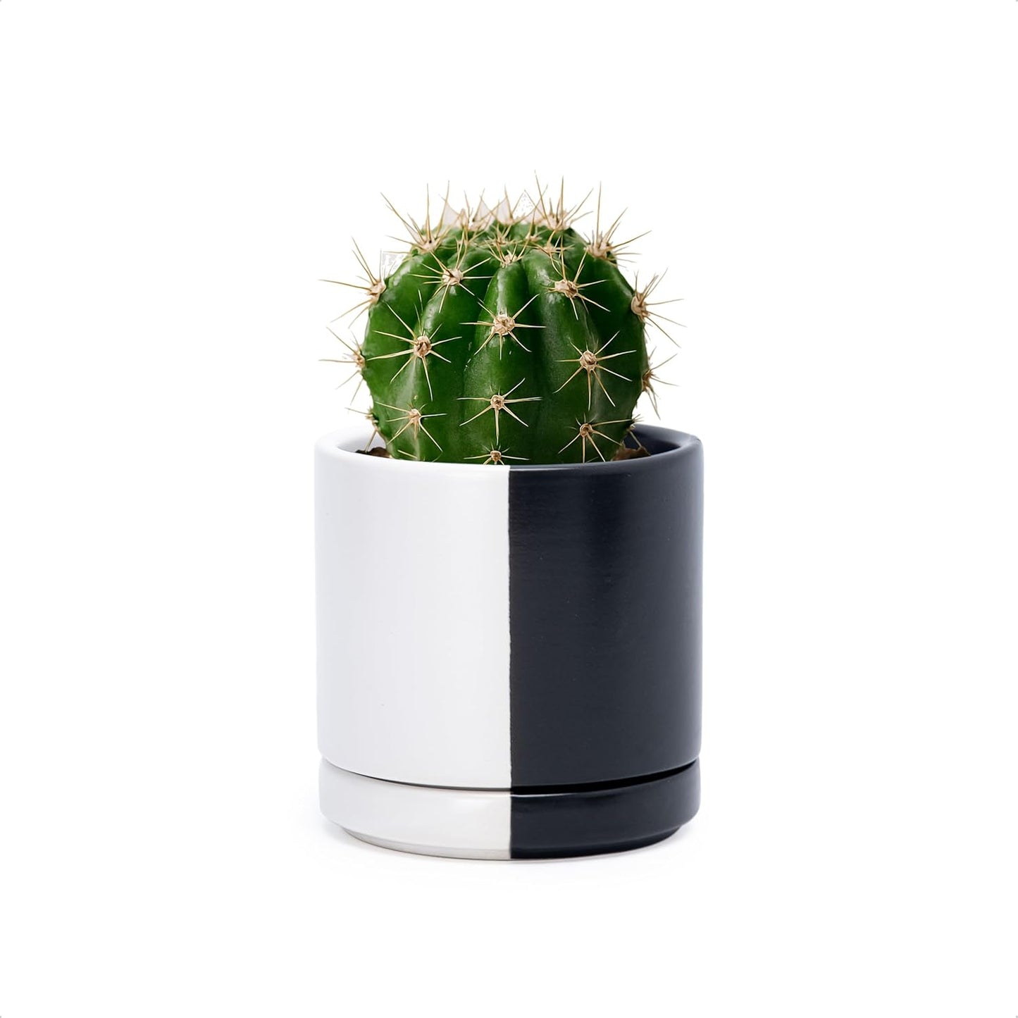 D'vine Dev 6.5 Inch Ceramic Planter Pot with Drainage Hole and Saucer, Indoor Cylinder Round Planter Pot, Olive, 94-O-C-J