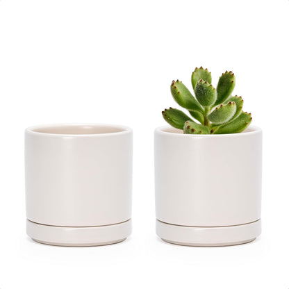 D'vine Dev Set of 2 Plants Pots, 6.5 Inch Ceramic Planter Pot for Plants with Drainage Hole and Saucer, White, 94-V-C-1