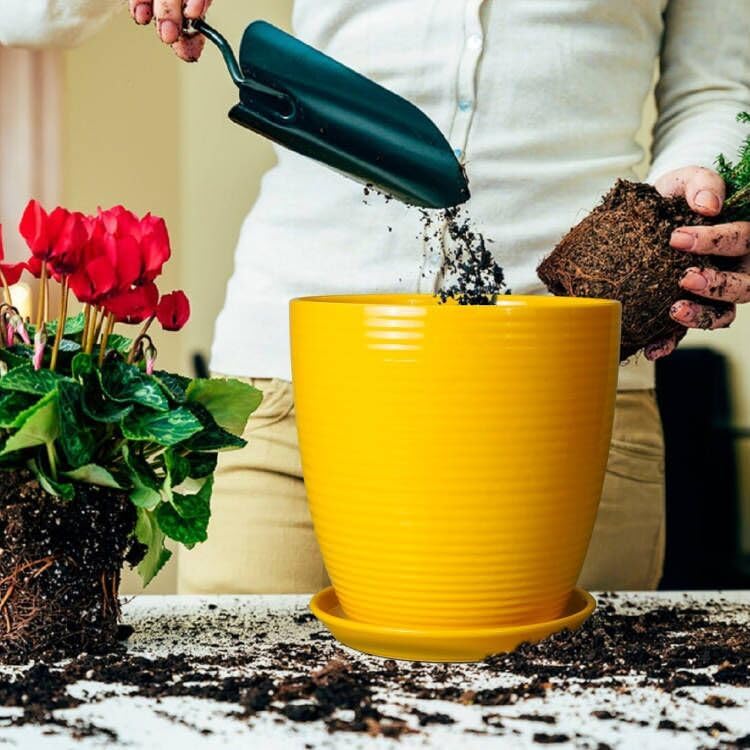 Ceramic Pots for Plants - 6 Inch Plant Pot with Drainage Hole and Saucer, Round Planters for Indoor Outdoor, Flower Pots, Modern Planter, Home Office Room Decor, Gifts for Plant Lovers, White