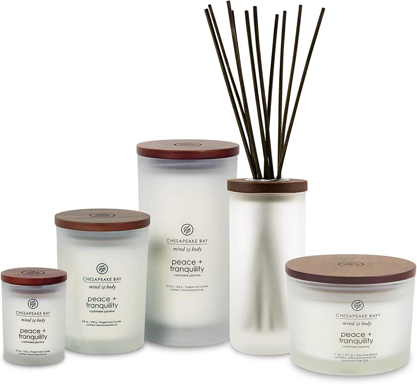 Chesapeake Bay Candle PT40886 Scented Candle Awaken + Invigorate (Lemongrass Eucalyptus) Medium Green Home Décor