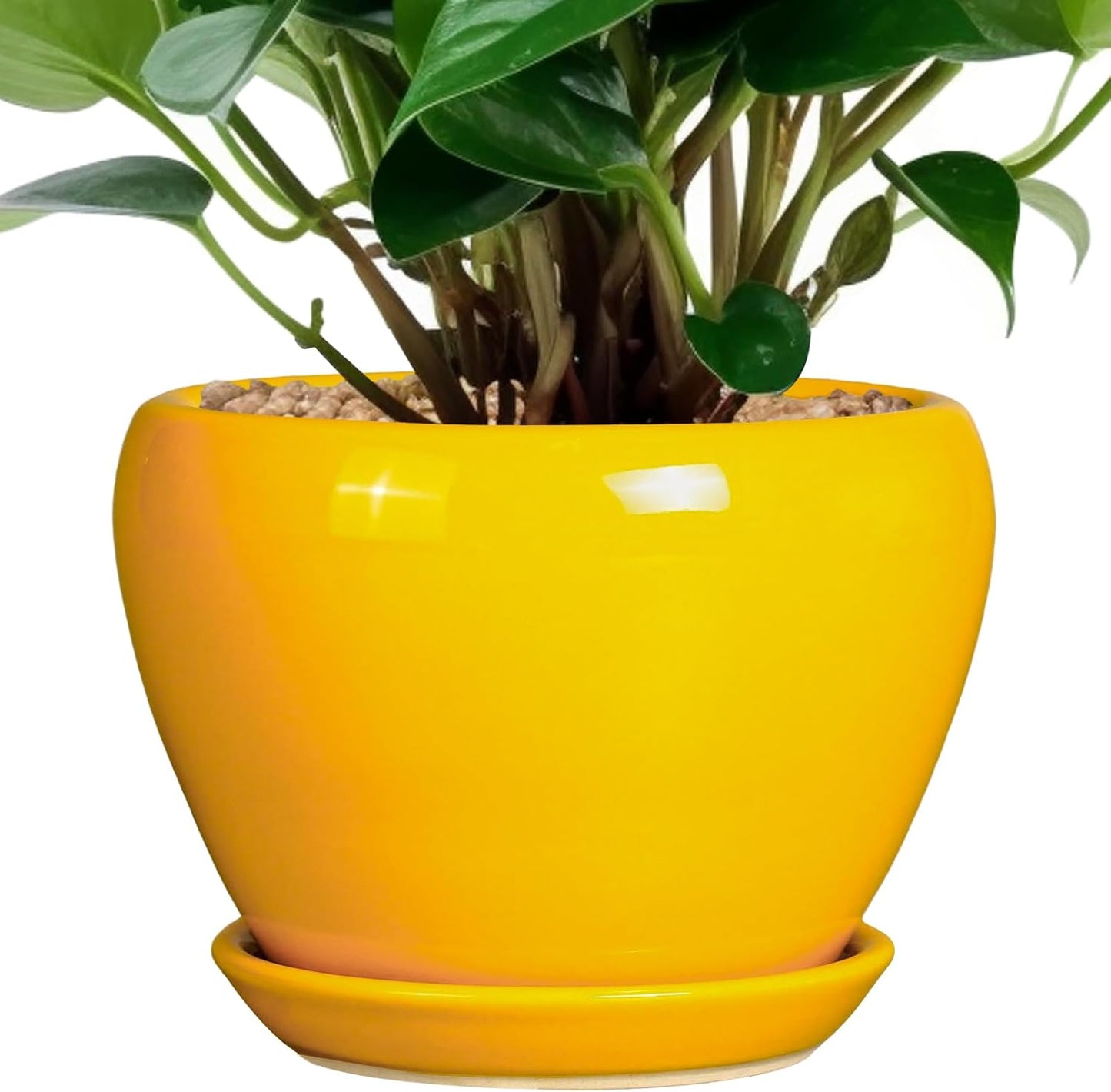 Ceramic Modern Glaze Succulent Planter Pot with Drainage Hole and Saucer 6 Inch Round Flower Plant Pot for Indoor Outdoor Herb Snake Plants