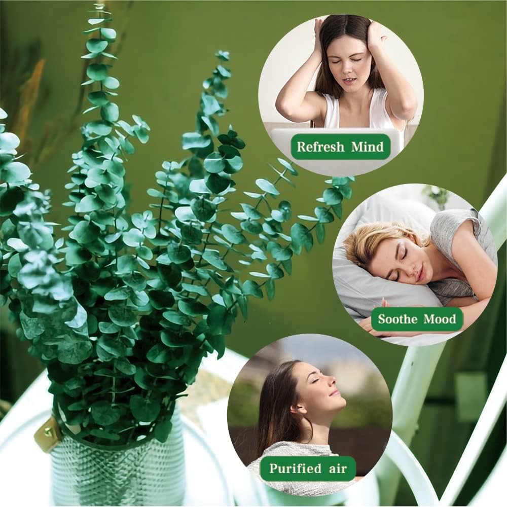 30Pcs Dried Eucalyptus Stems, 17" Real Preserved Eucalyptus Plant for Shower, Fresh Natural Branches for Vase, Eucalyptus Bundle for Home Decor, Wedding, Baby Shower, Bathroom