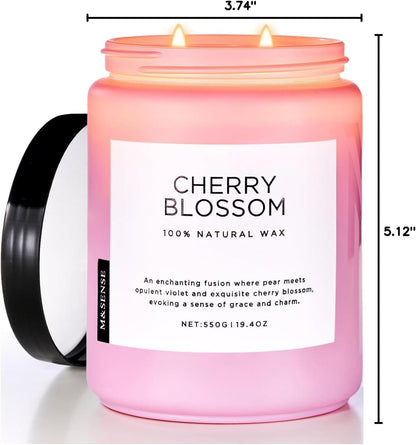 M&SENSE Eucalyptus & Mint Scented Jar Candle, Large 19.4oz Natural Soy Wax, 110-Hour Long Lasting Non-Toxic Clean Burning, Fresh Smelling Home Aromatherapy for Spa Stress Relief, Gifts for Men Women
