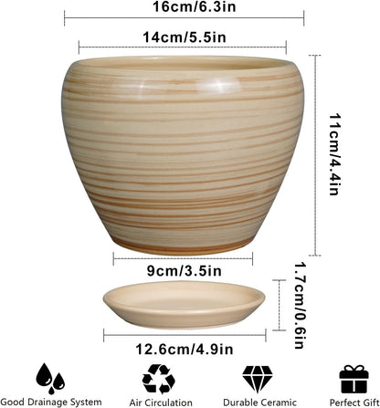 Ceramic Modern Glaze Succulent Planter Pot with Drainage Hole and Saucer 6 Inch Round Flower Plant Pot for Indoor Outdoor Herb Snake Plants