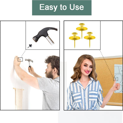50 PCS Push Pins Picture Hangers Wall Hooks, Double Headed Thumb Tacks for Wall Hangings, Renter Friendly Decor Small Picture Frame Hangers for Drywall Cork Board Home Office Photo Decorations(Black)