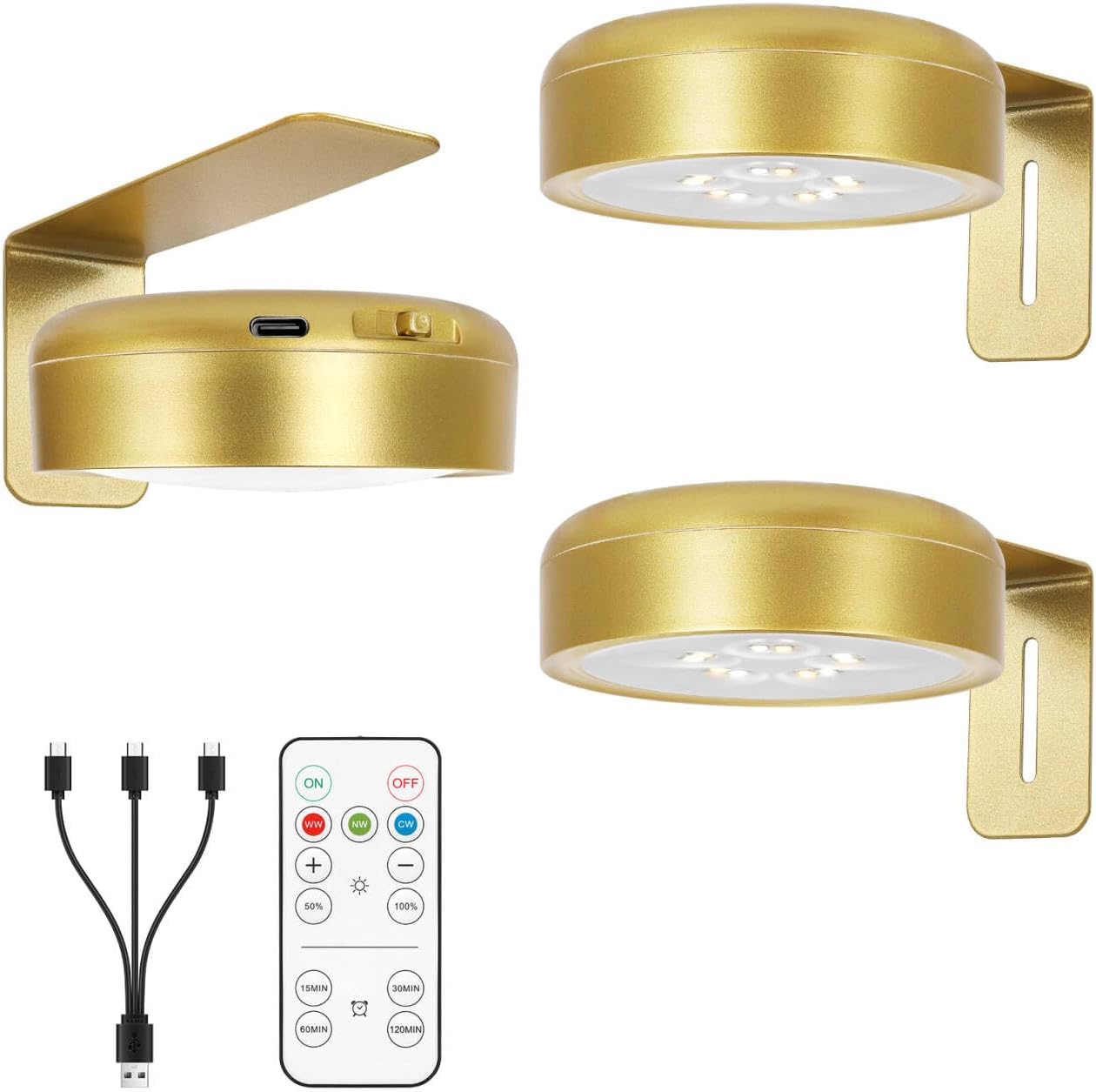 Arixinks 3PACK Picture Light Battery Operated with Remote, Painting Light for Wall Art with 3 Lighting Colors Dimmable, LED Art Display Accent Light on Wall for Poster Dartboard Frame Portrait Black