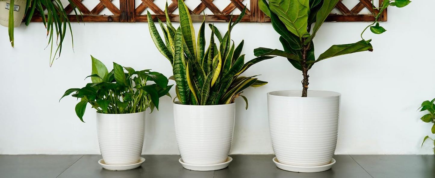 Ceramic Pots for Plants - 6 Inch Plant Pot with Drainage Hole and Saucer, Round Planters for Indoor Outdoor, Flower Pots, Modern Planter, Home Office Room Decor, Gifts for Plant Lovers, White