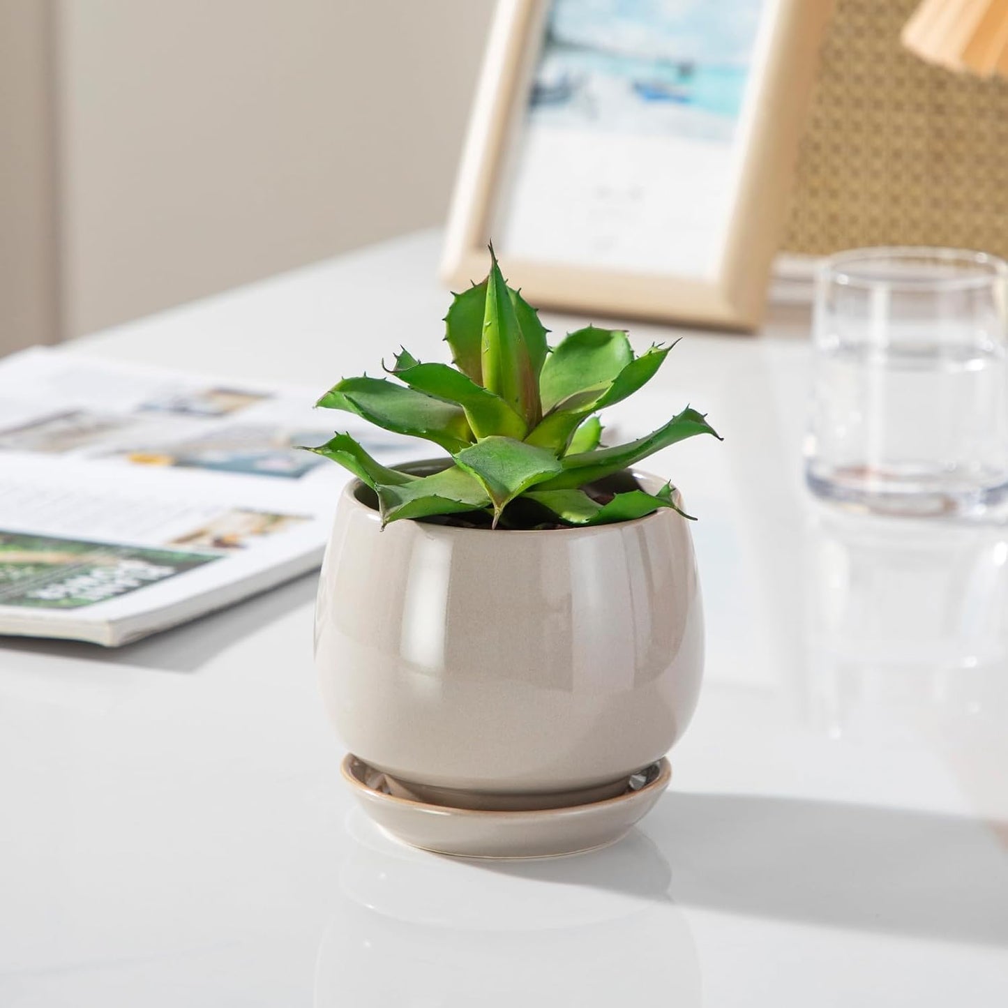 vancasso 3-Pack Ceramic Plant Pots, 3.7/4.8/6.2 Inch Indoor Planters with Saucers & Drainage Hole Planter pots for Indoor Plants and Flower, White