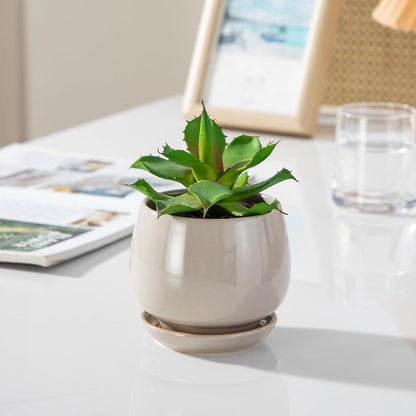 vancasso 3-Pack Ceramic Plant Pots, 3.7/4.8/6.2 Inch Indoor Planters with Saucers & Drainage Hole Planter pots for Indoor Plants and Flower, White