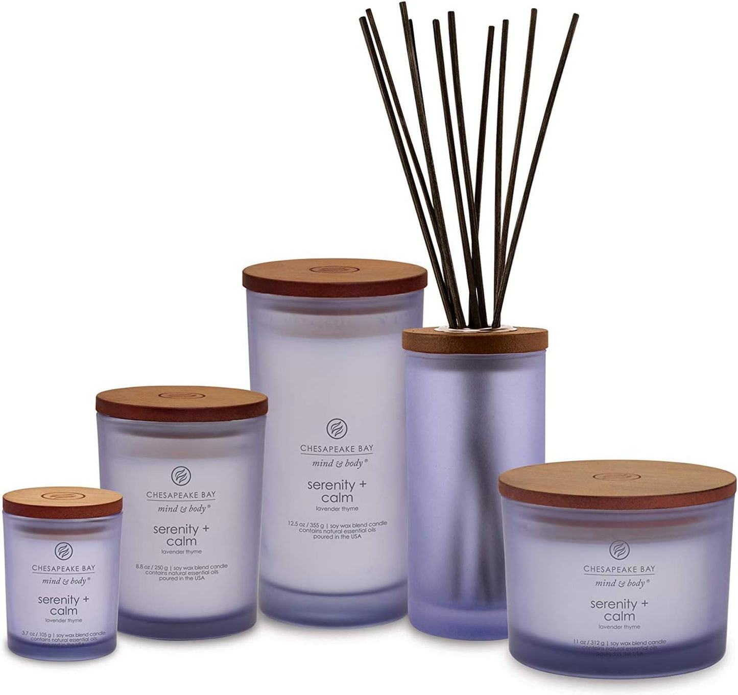 Chesapeake Bay Candle PT40886 Scented Candle Awaken + Invigorate (Lemongrass Eucalyptus) Medium Green Home Décor