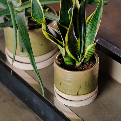 HERDUK 6 Inch Plant Pots, Ceramic Planter Pot with Drainage Hole & Saucer, Indoor/Outdoor Cylinder Round Planter Pot, Green & Beige