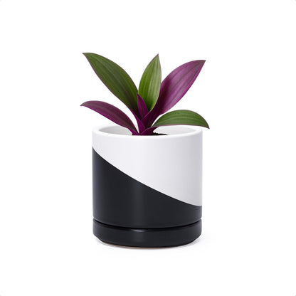 D'vine Dev 6.5 Inch Ceramic Planter Pot with Drainage Hole and Saucer, Indoor Cylinder Round Planter Pot, Olive, 94-O-C-J