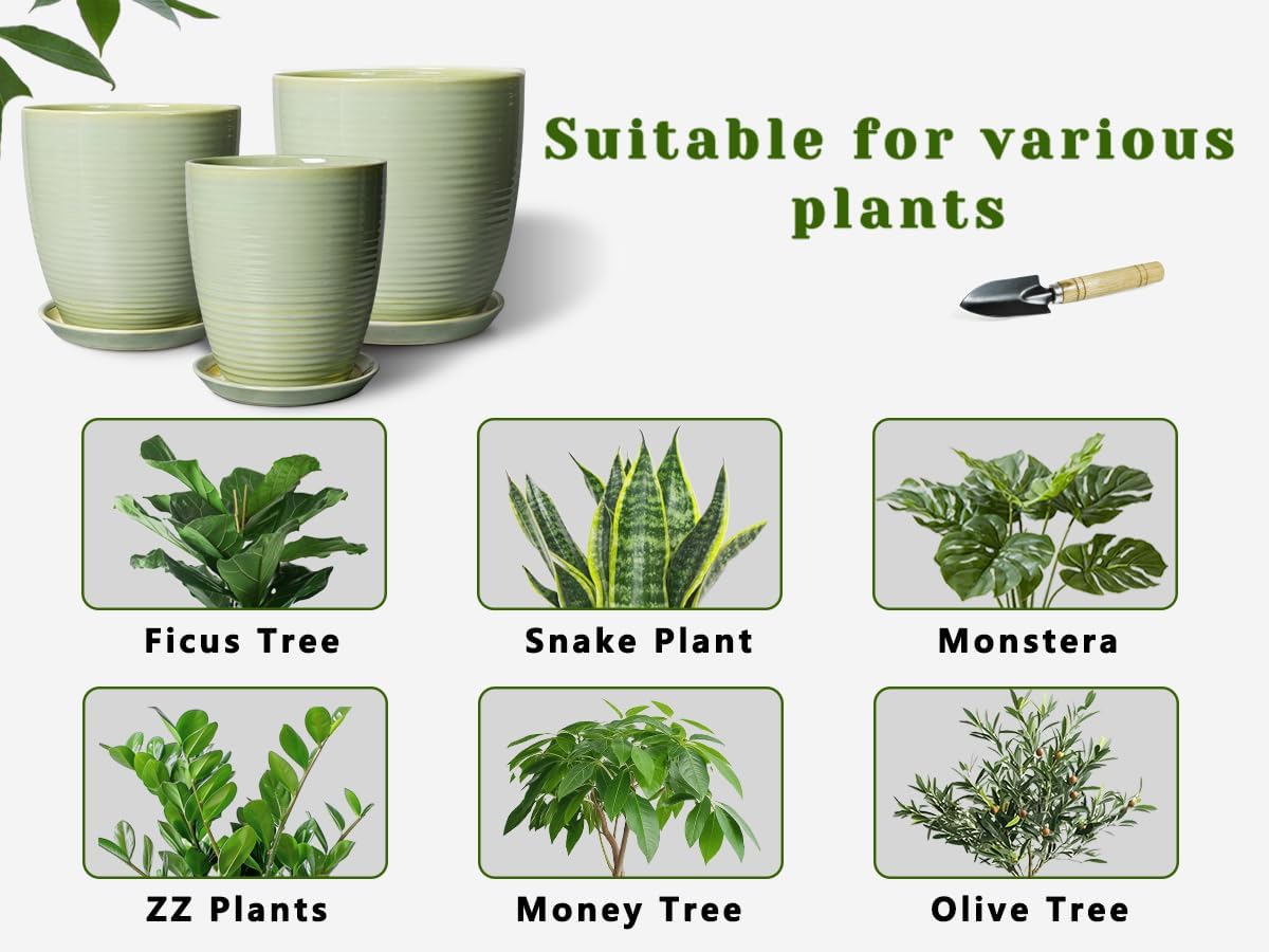 Ceramic Pots for Plants - 6 Inch Plant Pot with Drainage Hole and Saucer, Round Planters for Indoor Outdoor, Flower Pots, Modern Planter, Home Office Room Decor, Gifts for Plant Lovers, White