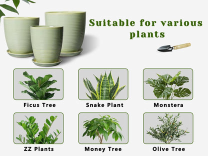 Ceramic Pots for Plants - 6 Inch Plant Pot with Drainage Hole and Saucer, Round Planters for Indoor Outdoor, Flower Pots, Modern Planter, Home Office Room Decor, Gifts for Plant Lovers, White