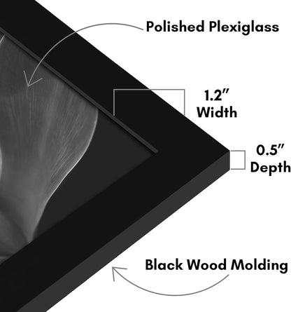 Americanflat 16x20 Picture Frame with Polished Plexiglass - Black Picture Frame - Wide Photo Frames Made of Engineered Wood for Vertical or Horizontal Wall Display - Epic Collection - Black - Colors B