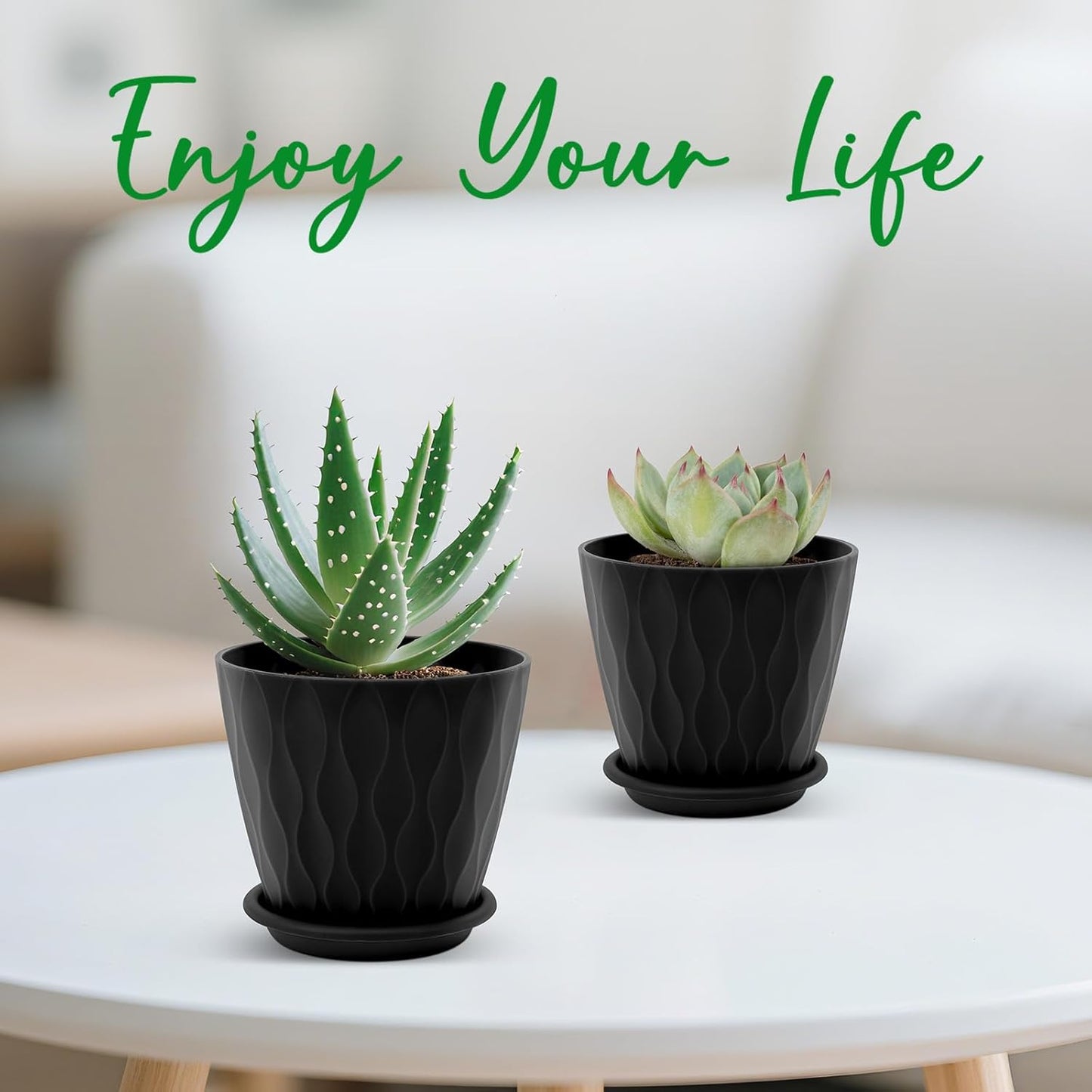 YNNICO 6 inch Plant Pots, 5 Pack Flower Pots Outdoor Indoor, Planters with Drainage Holes and Tray Saucers（Multicolor）