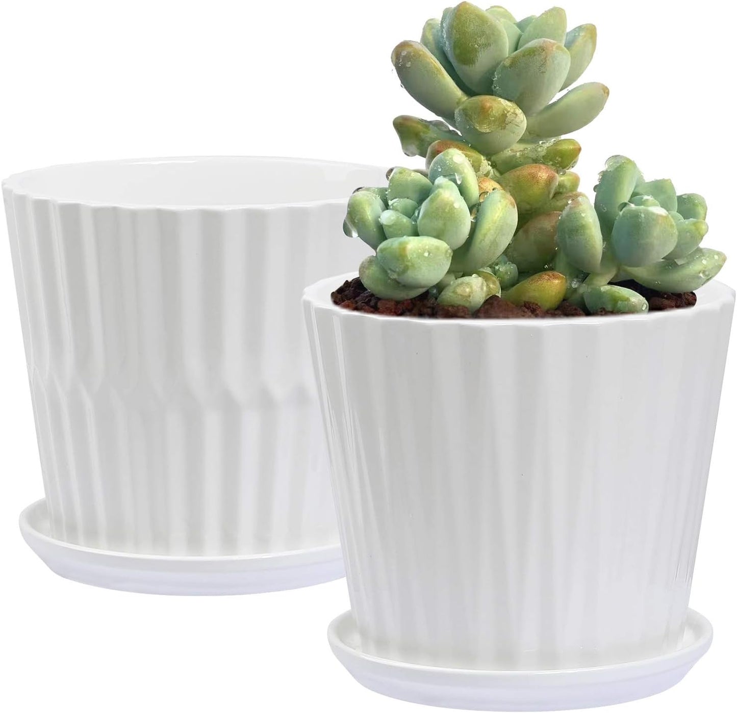 sietpoek Plant Pots - 5.5 Inch Cylinder Ceramic Planters with Connected Saucer, Pots for Succuelnt and Little Snake Plants, Set of 4, White