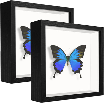 8x8 Shadow Box Frame Display Case with Letter Stickers, 3D Picture Frame, Display Case Box for Memorabilia, Baby Items, Wedding Memories, Crafts, Tickets and Photos (White, 8x8)