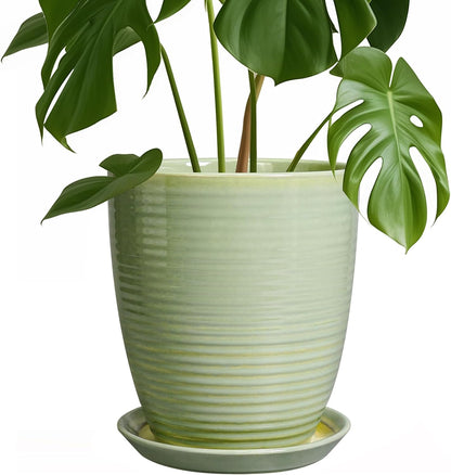 Ceramic Pots for Plants - 6 Inch Plant Pot with Drainage Hole and Saucer, Round Planters for Indoor Outdoor, Flower Pots, Modern Planter, Home Office Room Decor, Gifts for Plant Lovers, White