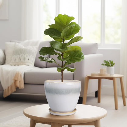 10 Inch Ceramic Planter Pot Round Plant Pot for Indoor Plants Outdoor Large Flower Pot with Drainage Hole and Saucer Blue