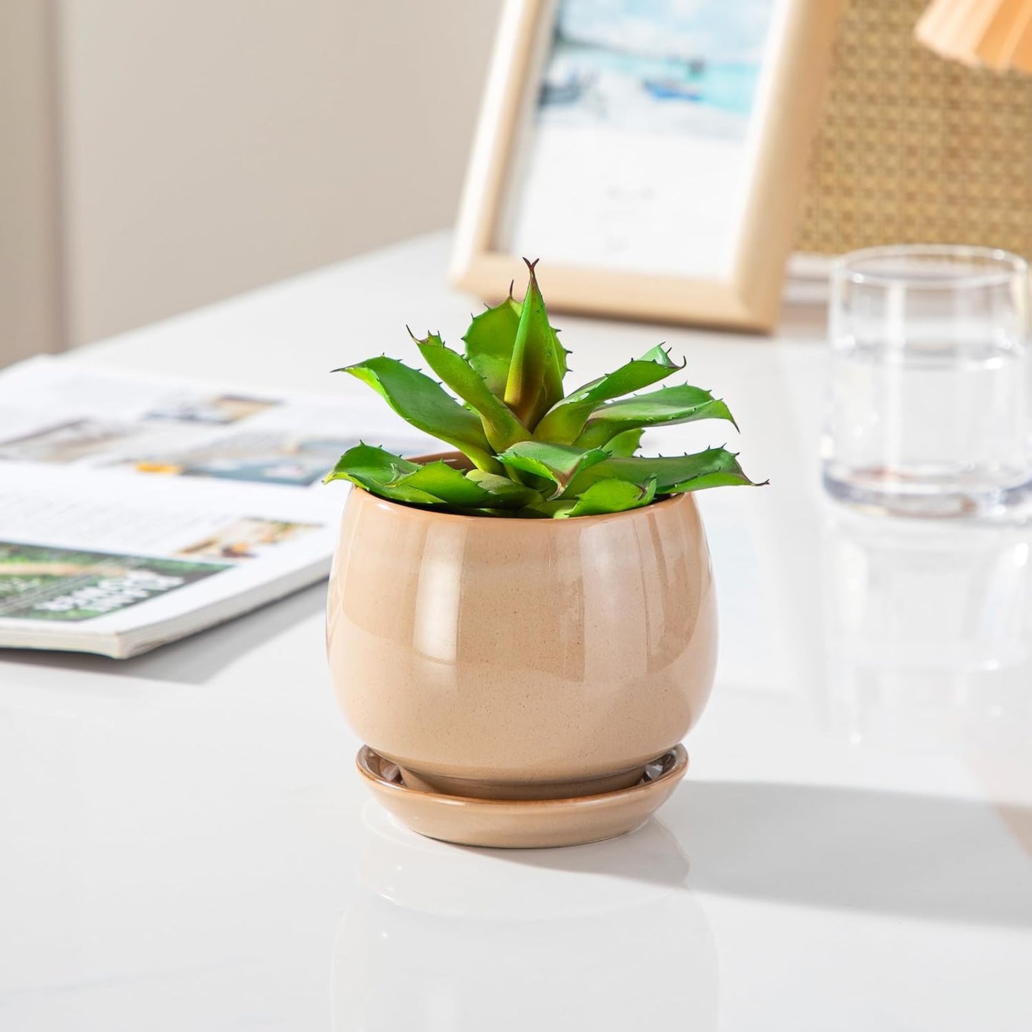 vancasso 3-Pack Ceramic Plant Pots, 3.7/4.8/6.2 Inch Indoor Planters with Saucers & Drainage Hole Planter pots for Indoor Plants and Flower, White