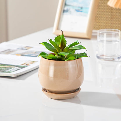 vancasso 3-Pack Ceramic Plant Pots, 3.7/4.8/6.2 Inch Indoor Planters with Saucers & Drainage Hole Planter pots for Indoor Plants and Flower, White