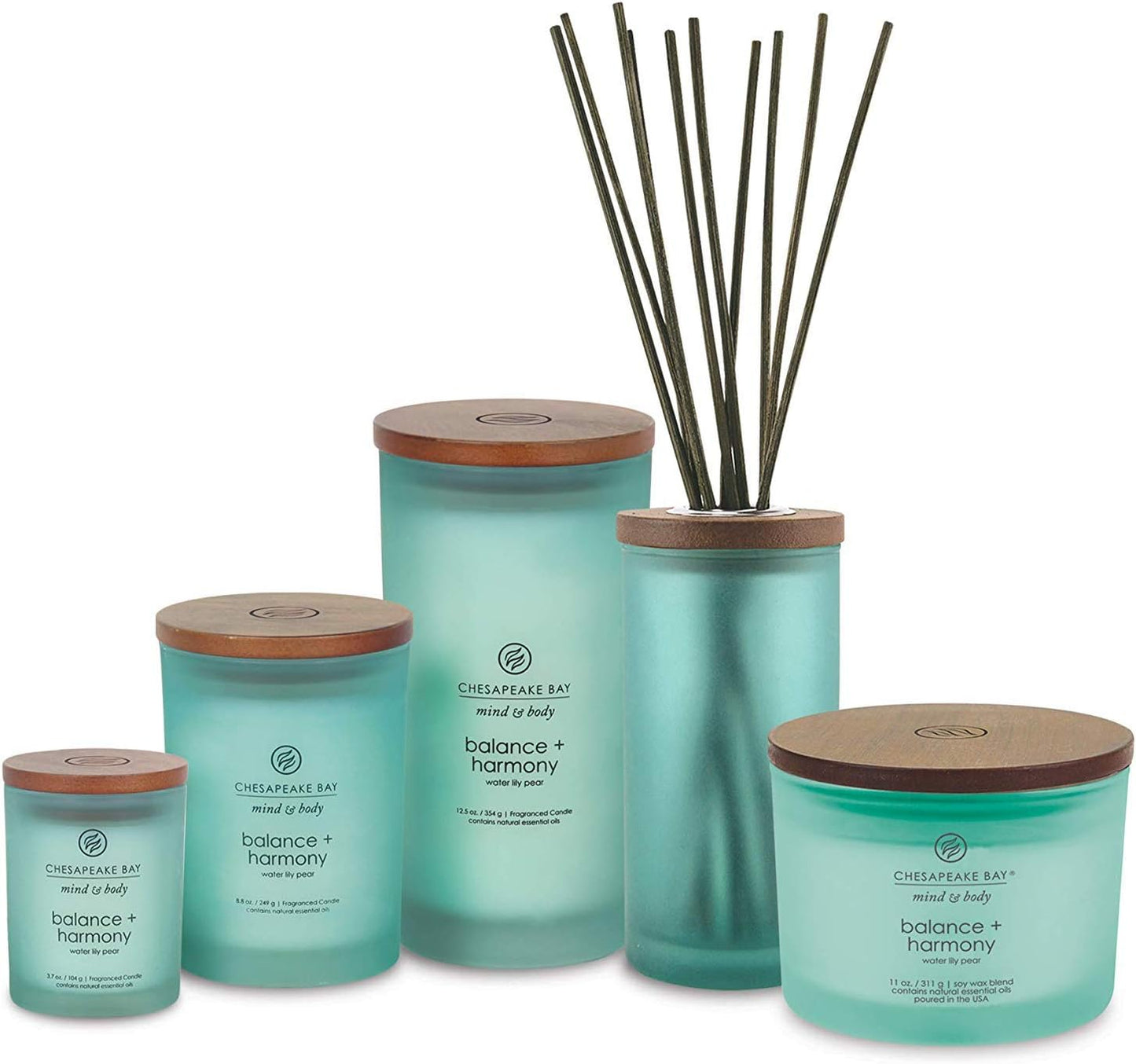 Chesapeake Bay Candle PT40886 Scented Candle Awaken + Invigorate (Lemongrass Eucalyptus) Medium Green Home Décor