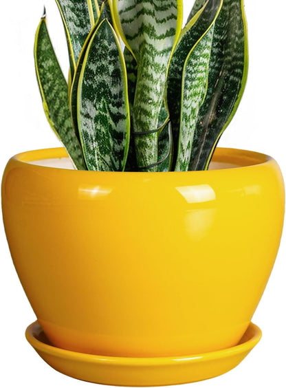 Ceramic Modern Glaze Succulent Planter Pot with Drainage Hole and Saucer 6 Inch Round Flower Plant Pot for Indoor Outdoor Herb Snake Plants