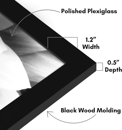 Americanflat 16x20 Picture Frame with Polished Plexiglass - Black Picture Frame - Wide Photo Frames Made of Engineered Wood for Vertical or Horizontal Wall Display - Epic Collection - Black - Colors C