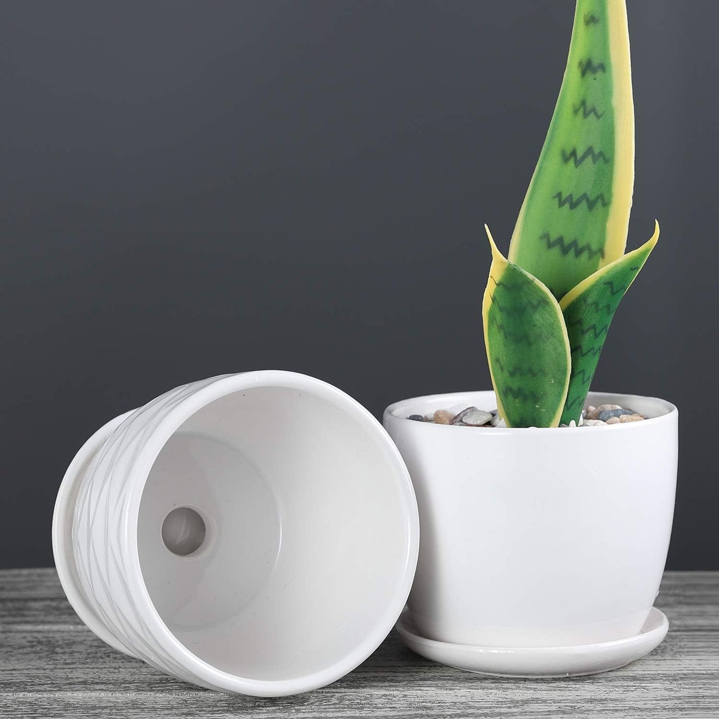 sietpoek Plant Pots - 5.5 Inch Cylinder Ceramic Planters with Connected Saucer, Pots for Succuelnt and Little Snake Plants, Set of 4, White