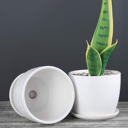 sietpoek Plant Pots - 5.5 Inch Cylinder Ceramic Planters with Connected Saucer, Pots for Succuelnt and Little Snake Plants, Set of 4, White
