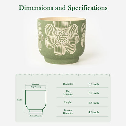 YBX 8 Inch + 6 Inch Ceramic Plant Pots, Succulent Flower Pots with Drainage Holes, Terracotta Planters for Indoor Plants, White&Terracotta (Garden)