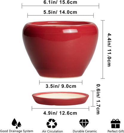 Ceramic Modern Glaze Succulent Planter Pot with Drainage Hole and Saucer 6 Inch Round Flower Plant Pot for Indoor Outdoor Herb Snake Plants