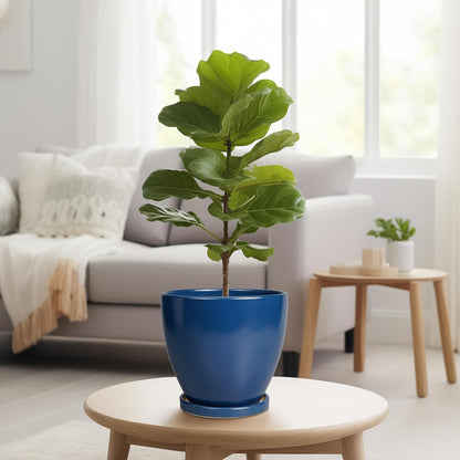 10 Inch Ceramic Planter Pot Round Plant Pot for Indoor Plants Outdoor Large Flower Pot with Drainage Hole and Saucer Blue