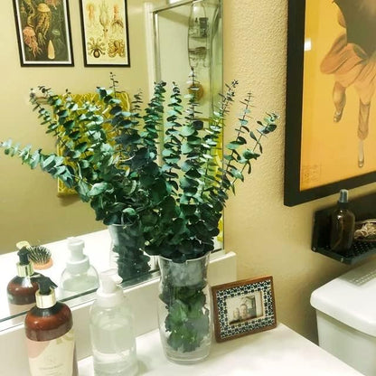 30Pcs Dried Eucalyptus Stems, 17" Real Preserved Eucalyptus Plant for Shower, Fresh Natural Branches for Vase, Eucalyptus Bundle for Home Decor, Wedding, Baby Shower, Bathroom