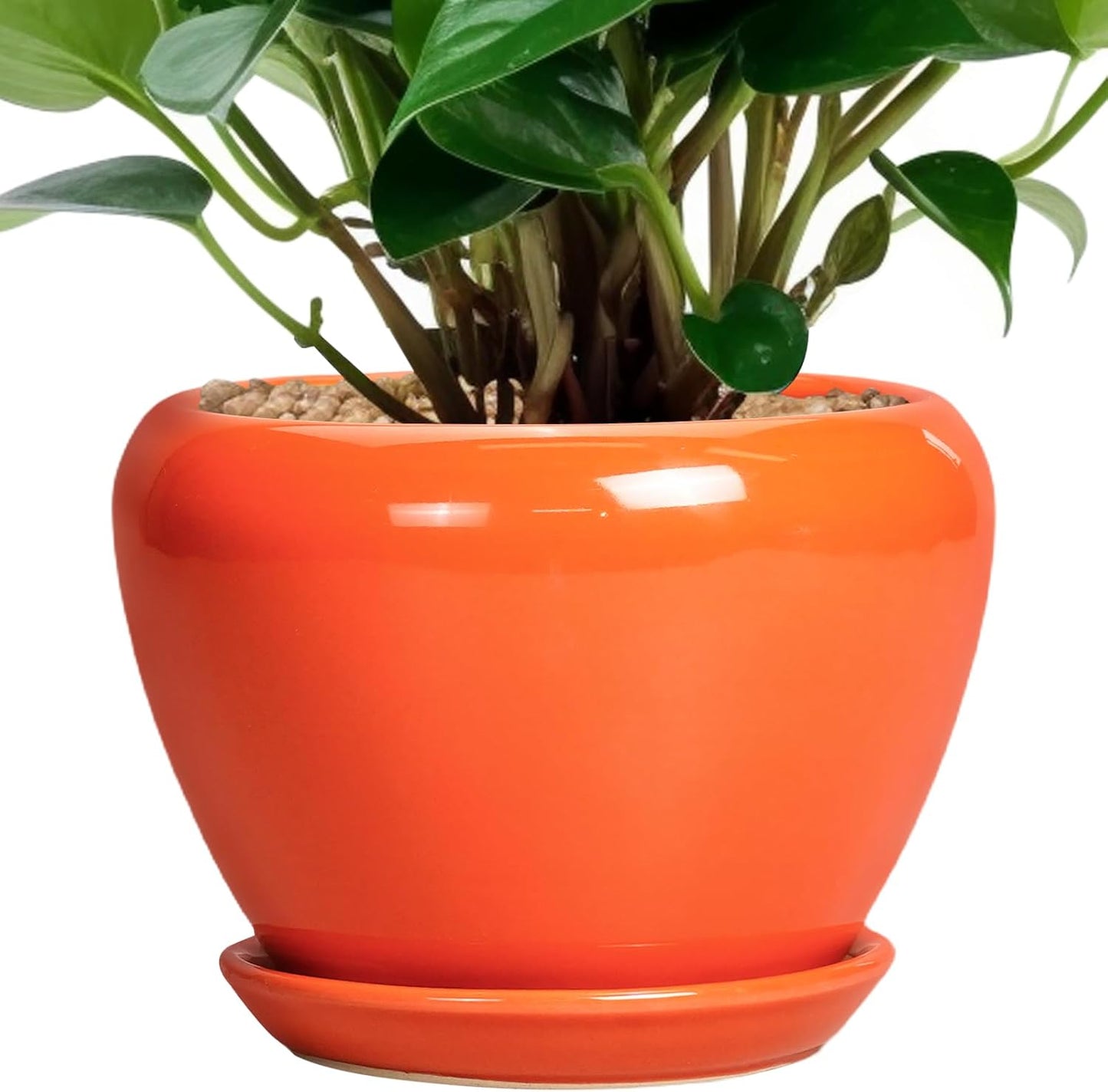 Ceramic Modern Glaze Succulent Planter Pot with Drainage Hole and Saucer 6 Inch Round Flower Plant Pot for Indoor Outdoor Herb Snake Plants