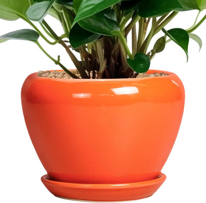 Ceramic Modern Glaze Succulent Planter Pot with Drainage Hole and Saucer 6 Inch Round Flower Plant Pot for Indoor Outdoor Herb Snake Plants