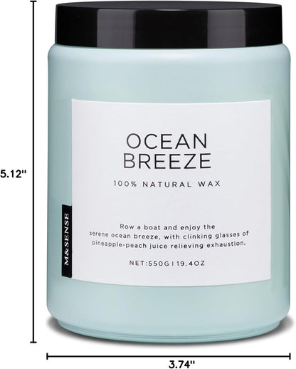 M&SENSE Eucalyptus & Mint Scented Jar Candle, Large 19.4oz Natural Soy Wax, 110-Hour Long Lasting Non-Toxic Clean Burning, Fresh Smelling Home Aromatherapy for Spa Stress Relief, Gifts for Men Women