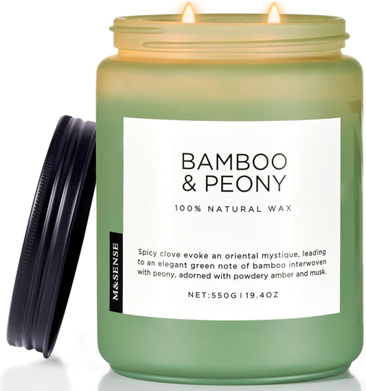 M&SENSE Eucalyptus & Mint Scented Jar Candle, Large 19.4oz Natural Soy Wax, 110-Hour Long Lasting Non-Toxic Clean Burning, Fresh Smelling Home Aromatherapy for Spa Stress Relief, Gifts for Men Women