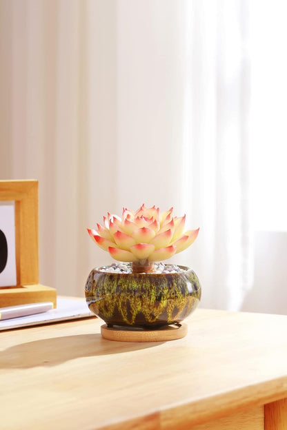 Cute Ceramic Succulent Garden Pots, Planter with Drainage and Attached Saucer, Set of 5 -Plants Not Included (Round)