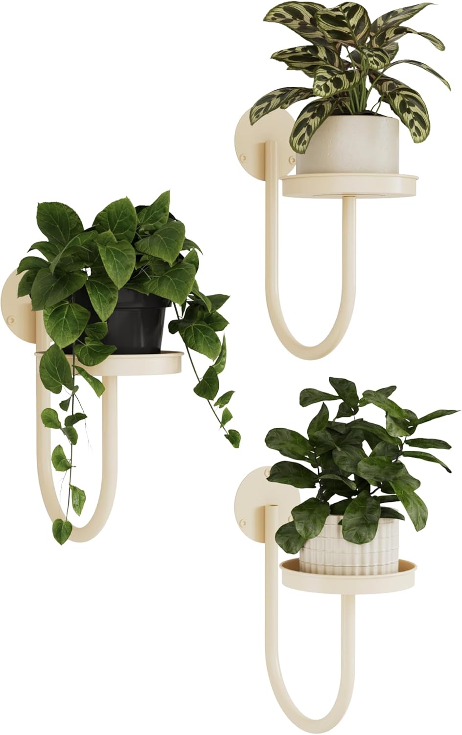 Bamworld Hanging Planters for Indoor Plants Wall Plant Holder Plant Hanger Indoor Wall Planters Window Plant Shelves Hanging Plant Holder Window Plant Hanger Plant Decor Black 3pcs