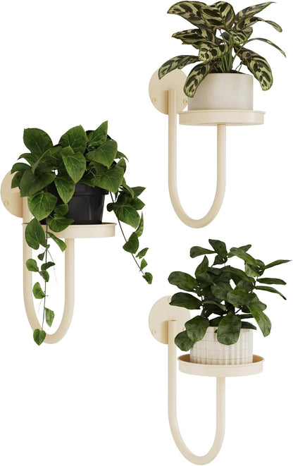 Bamworld Hanging Planters for Indoor Plants Wall Plant Holder Plant Hanger Indoor Wall Planters Window Plant Shelves Hanging Plant Holder Window Plant Hanger Plant Decor Black 3pcs